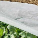 Agricultrue Non Woven