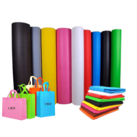 Carryy bag (1)